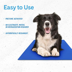 The Green Pet Shop Chillz Gel Mat indoors on a floor provides a cool surface.