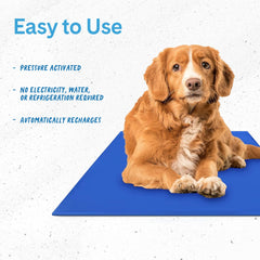 The Green Pet Shop Chillz Gel Mat medium indoor-outdoor use demonstrates versatile placement in any setting.