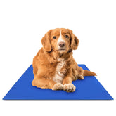 The Green Pet Shop Chillz Gel Mat medium pet-relaxation surface provides cooling comfort on contact.