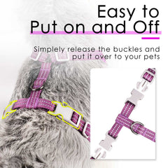 ThinkPet air mesh ventilation keeping pet cool in summer walks.