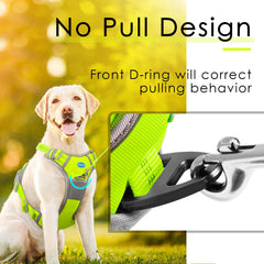 ThinkPet breathable mesh padding keeps dogs cool and comfortable