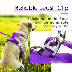 ThinkPet breathable padding mesh keeps dogs cool and comfy on outings.