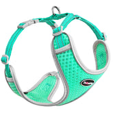 ThinkPet teal medium harness over-head fit enables quick, comfortable daily walks.