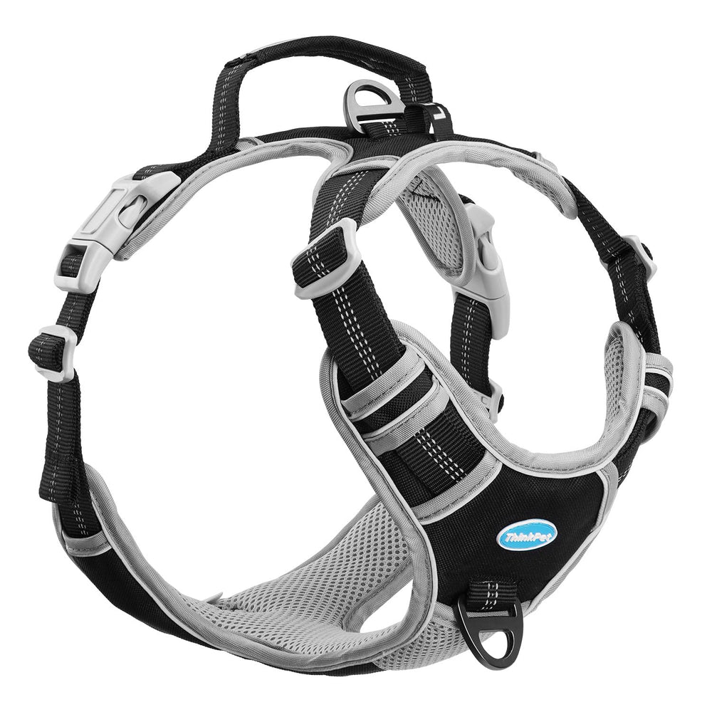 ThinkPet No-Pull Harness front clip XL shows improved control during walks