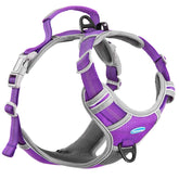 ThinkPet no-pull harness front clip enables proactive training control during walks.