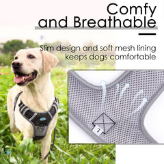 ThinkPet No-Pull Harness reflective strip XL enhances visibility during night walks