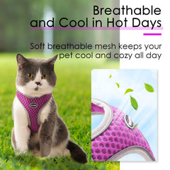 ThinkPet over-head no-pull design aiding simple fitting.