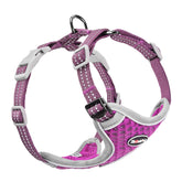 ThinkPet Reflective Breathable Vest on a small puppy, purple XS, safe daytime visibility.