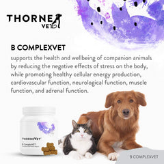 ThorneVET B ComplexVET soft chews provide tasty daily vitamin support.
