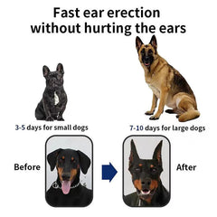 THOUDONER dog ear stand comfortable top-head fit for gentle wear