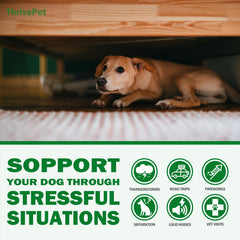 ThrivePet calming chews ingredients close-up showing natural, vet-friendly formulation.
