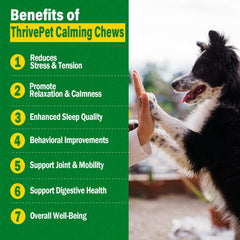 ThrivePet duck-flavor dog treats foil pack ready for on-the-go calming support.