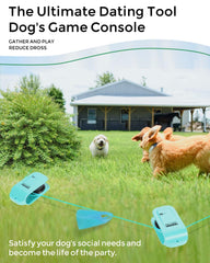 TianfuSpanda dog agility equipment outdoors for versatile exercise.