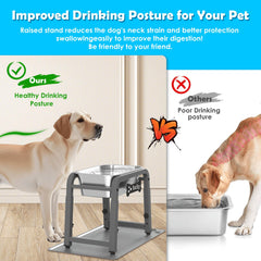 TIDANT 1.2 gallon capacity water bowl helping busy households stay hydrated