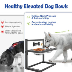 Tidant elevated dog bowls stand height settings for growing dogs