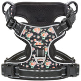 Timos dog harness with 3-snap buckles for quick, stress-free fitting