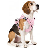 Timos dog harness 3-snap buckles provide quick on/off for smoother daily walks