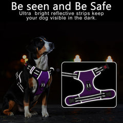 Timos dog harness back handle for quick control during walks.