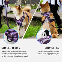 Timos harness dual leash rings support no-pull training and safer control