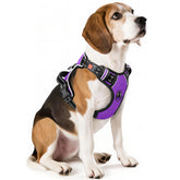 Timos dog harness front clip neck-snap for easy on-off and secure fit.