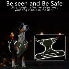 Timos dog harness with front clip offers no-pull control on walks