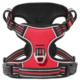 Timos dog harness with front clip and reflective trim for safer nighttime visibility.