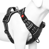Timos dog harness front view with adjustable fit for comfort and safety.