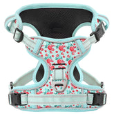 Timos dog harness dual leash clips for safer walks