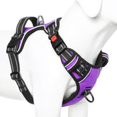 Timos dog harness small neck lockable snap offers secure easy on-off for small dogs in purple