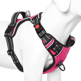 Timos No Pull Harness front view shows quick-release buckles for easy on-off