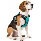 Timos No Pull harness neck buckle close-up for easy on/off wearing
