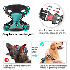 Timos No Pull Harness back clip for casual walks and jogging.