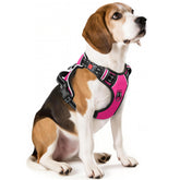 Timos No Pull Harness front view with quick-release buckle for easy wear.