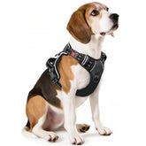 Timos No-Pull Harness neck release buckle for quick on-off wearing