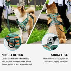 Timos no pull harness reflective strip aids visibility during night walks.