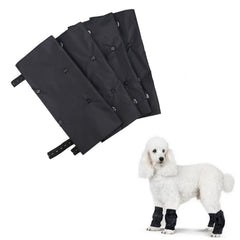 tinkare waterproof dog leg snoods on walk protect poodle legs from rain and mud