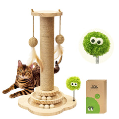 TinyBeast wooden cat scratching post assembled in a living room encourages natural scratching and play.