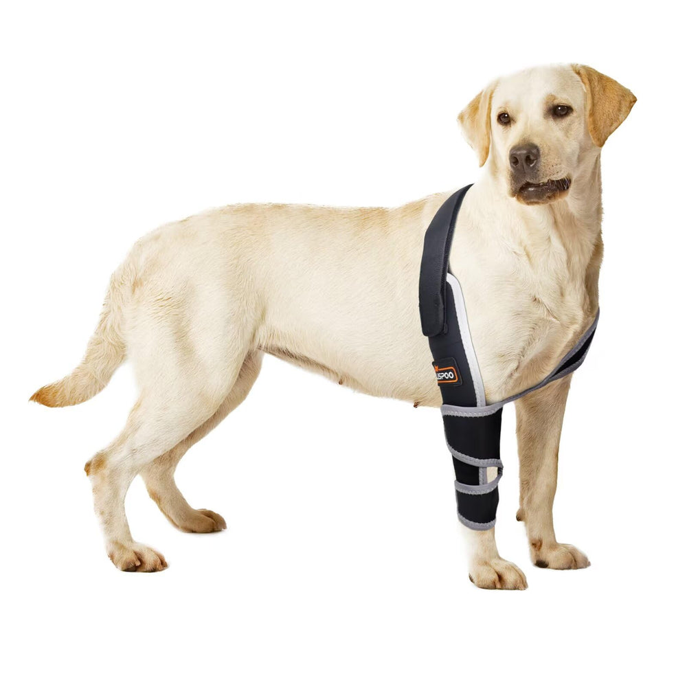 TIPOOP dog elbow protector elbow-area provides secure daily support during walks.