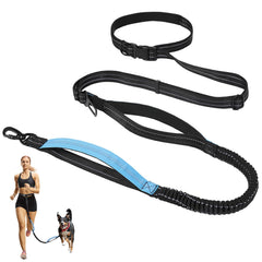 Tivray hands-free dog leash around the waist enables hands-free walking and quick phone access.