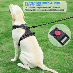 tobeDRI harness reflective stitching image demonstrates night-visible safety.
