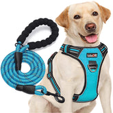 tobeDRI no-pull harness with front and back rings for secure walking control