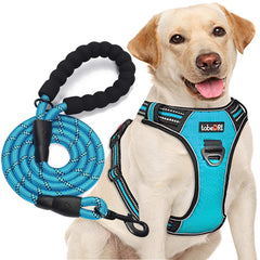 tobeDRI no-pull harness front view with dual rings for controlled walks