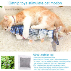 Tocirelo pez catnip aromático que invita a explorar