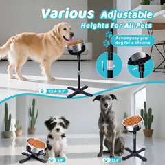 Tolopu elevated dog bowl adjustable height and width for growing dogs.
