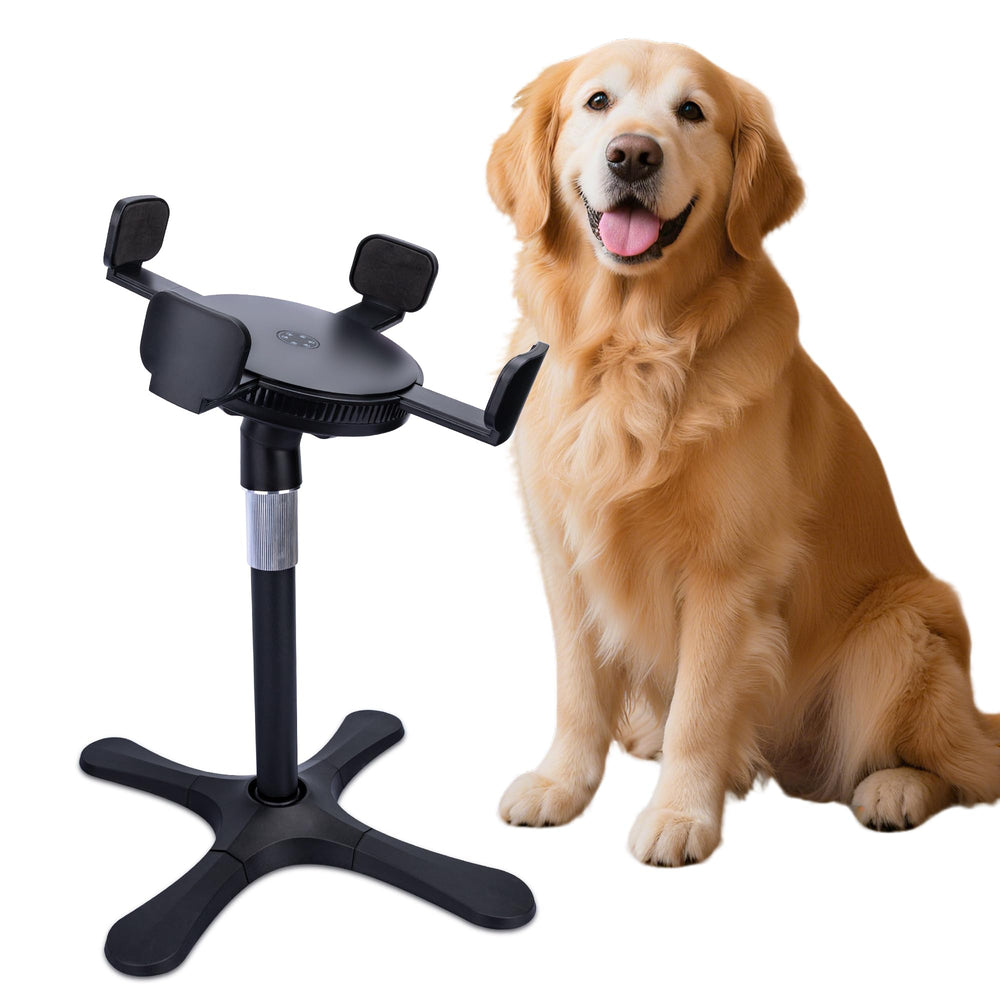 Tolopu elevated dog bowl tilting platform supports comfortable eating posture.