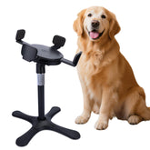 Tolopu elevated dog bowl tilting platform supports comfortable eating posture.