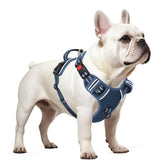 Timos dog harness neck snap-lock enables quick on-off for small dogs
