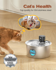TOONIOOS motion sensor mode demonstrates automatic water flow when a cat approaches.