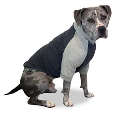 Tooth & Honey large dog pullover shirt dark light grey for breathable daily wear.
