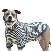 Tooth & Honey large dog pullover shirt front view shows breathable comfort for sunny days.
